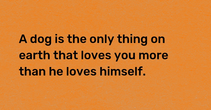 A dog is the only thing on earth that loves you more than he loves himself.