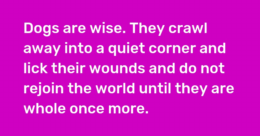 Dogs are wise. They crawl away into a quiet corner and lick their wounds and do not rejoin the world until they are whole once more.