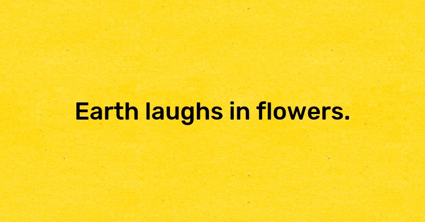 Earth laughs in flowers.