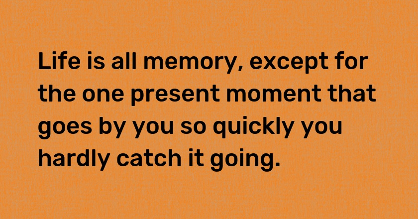 Life is all memory, except for the one present moment that goes by you so quickly you hardly catch it going.