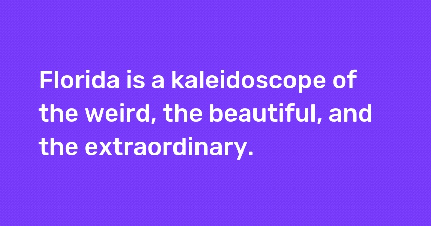 Florida is a kaleidoscope of the weird, the beautiful, and the extraordinary.