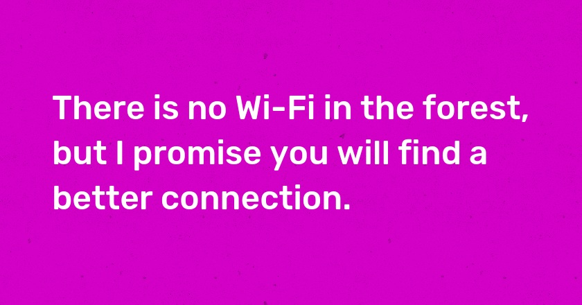 There is no Wi-Fi in the forest, but I promise you will find a better connection.