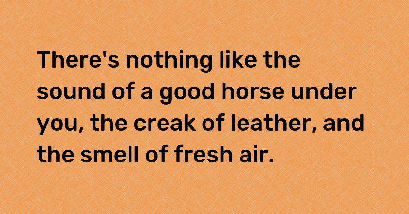 There's nothing like the sound of a good horse under you, the creak of leather, and the smell of fresh air.