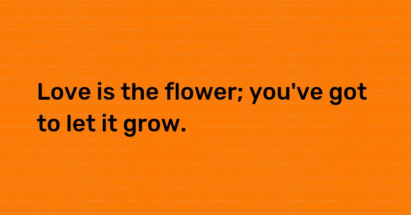 Love is the flower; you've got to let it grow.