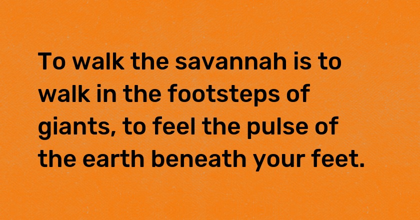 To walk the savannah is to walk in the footsteps of giants, to feel the pulse of the earth beneath your feet.