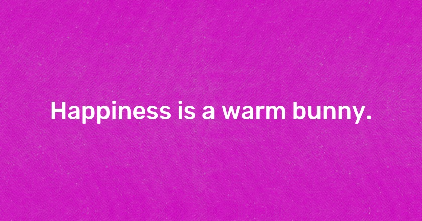 Happiness is a warm bunny.