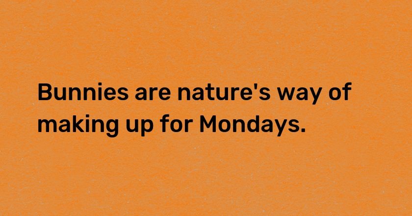 Bunnies are nature's way of making up for Mondays.