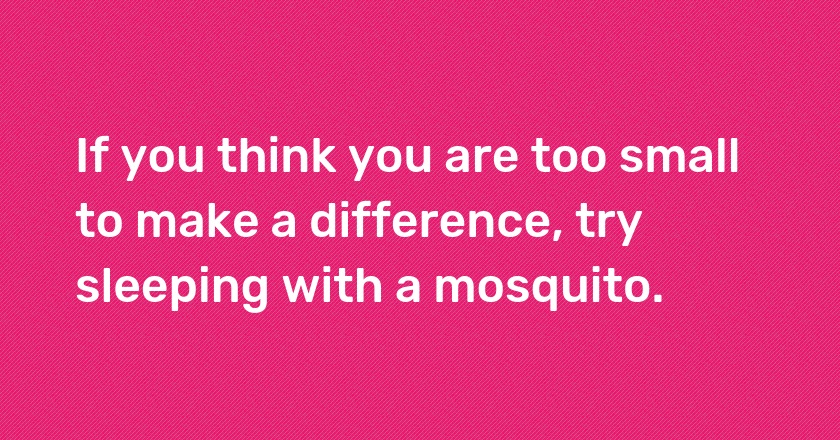 If you think you are too small to make a difference, try sleeping with a mosquito.