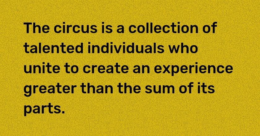 The circus is a collection of talented individuals who unite to create an experience greater than the sum of its parts.