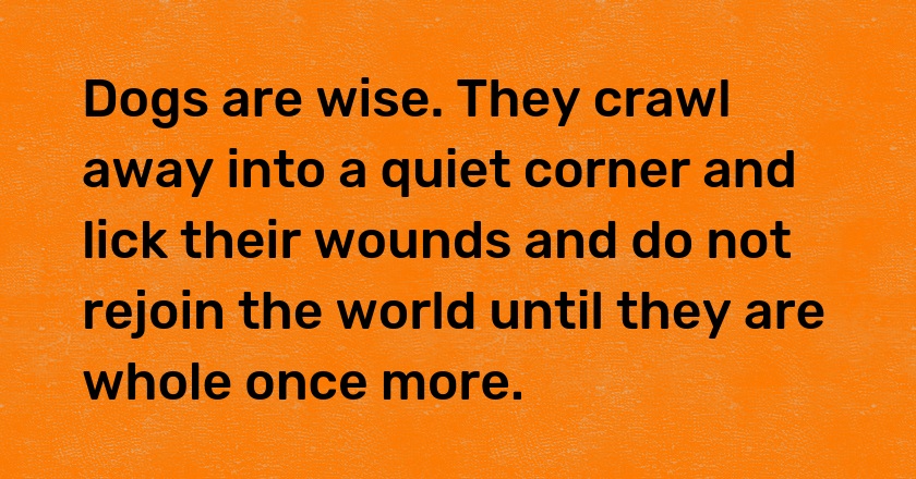 Dogs are wise. They crawl away into a quiet corner and lick their wounds and do not rejoin the world until they are whole once more.