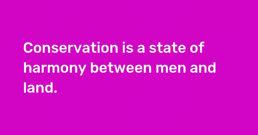 Conservation is a state of harmony between men and land.