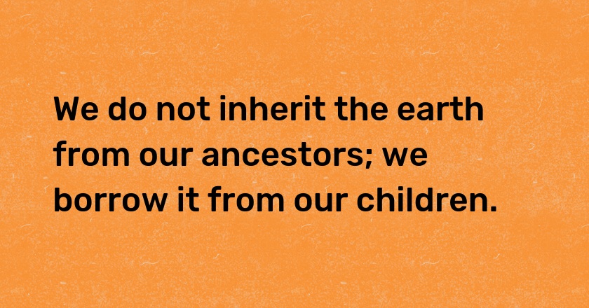 We do not inherit the earth from our ancestors; we borrow it from our children.