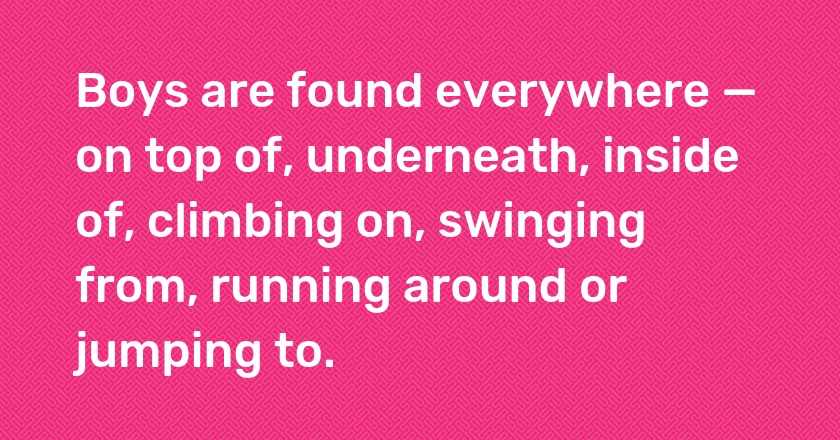 Boys are found everywhere — on top of, underneath, inside of, climbing on, swinging from, running around or jumping to.