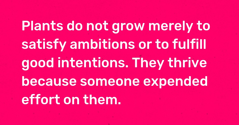 Plants do not grow merely to satisfy ambitions or to fulfill good intentions. They thrive because someone expended effort on them.