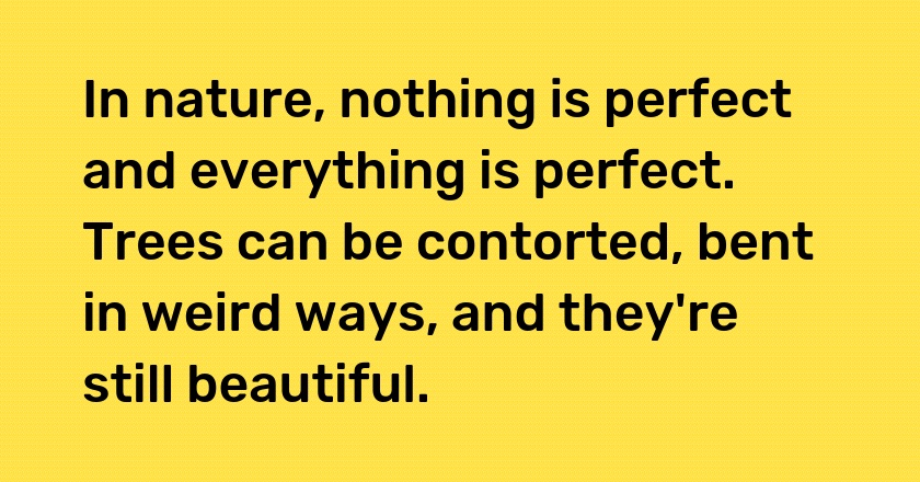 In nature, nothing is perfect and everything is perfect. Trees can be contorted, bent in weird ways, and they're still beautiful.