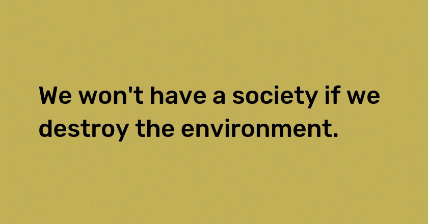 We won't have a society if we destroy the environment.