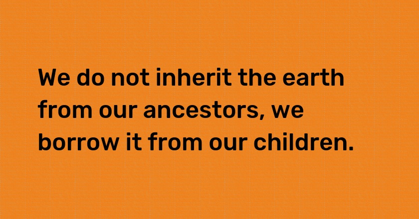 We do not inherit the earth from our ancestors, we borrow it from our children.