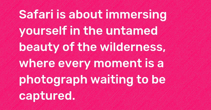 Safari is about immersing yourself in the untamed beauty of the wilderness, where every moment is a photograph waiting to be captured.