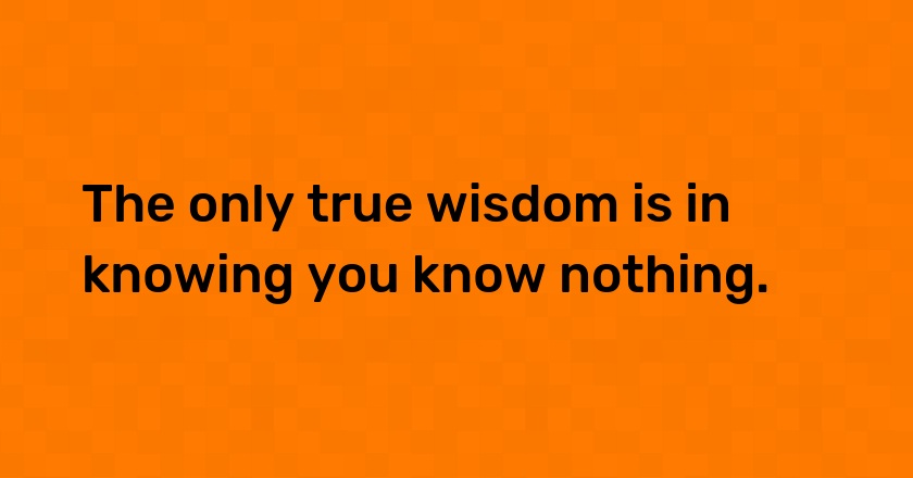 The only true wisdom is in knowing you know nothing.