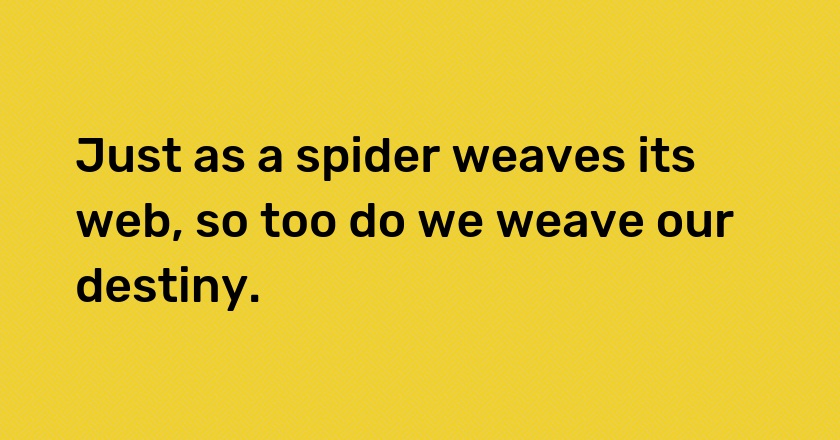 Just as a spider weaves its web, so too do we weave our destiny.