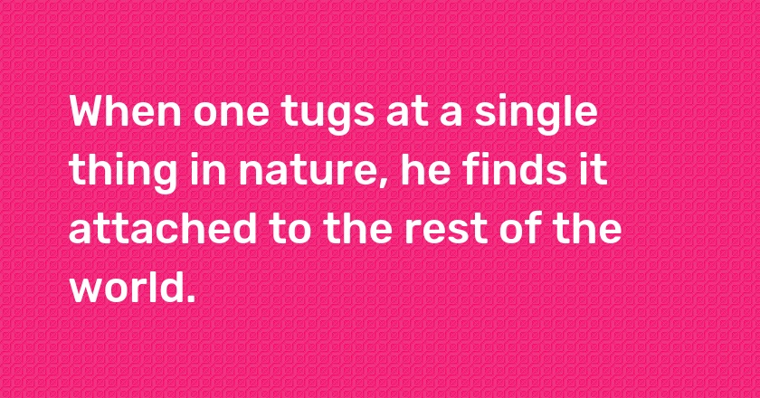 When one tugs at a single thing in nature, he finds it attached to the rest of the world.