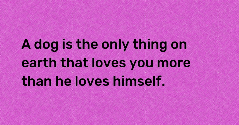 A dog is the only thing on earth that loves you more than he loves himself.