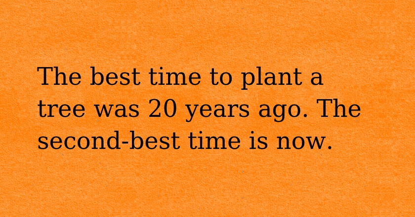 The best time to plant a tree was 20 years ago. The second-best time is now.