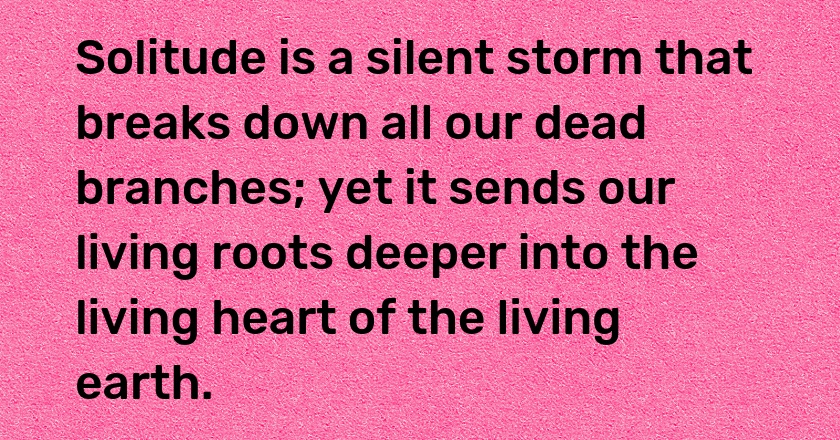 Solitude is a silent storm that breaks down all our dead branches; yet it sends our living roots deeper into the living heart of the living earth.