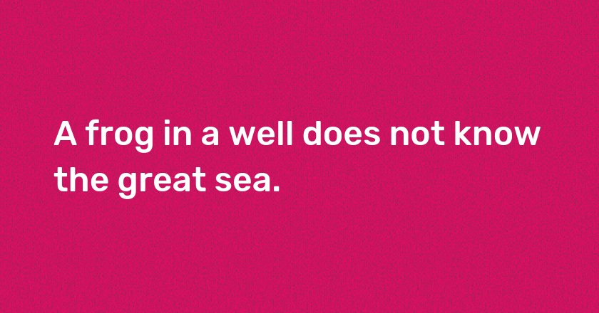 A frog in a well does not know the great sea.