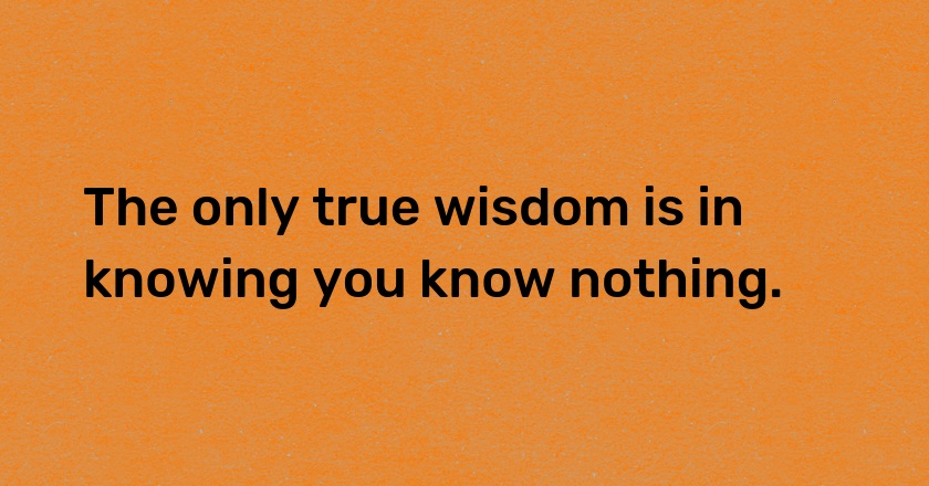 The only true wisdom is in knowing you know nothing.