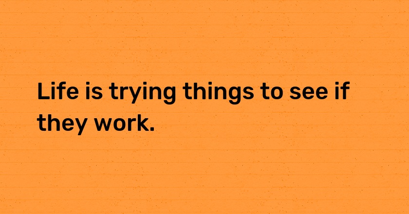 Life is trying things to see if they work.