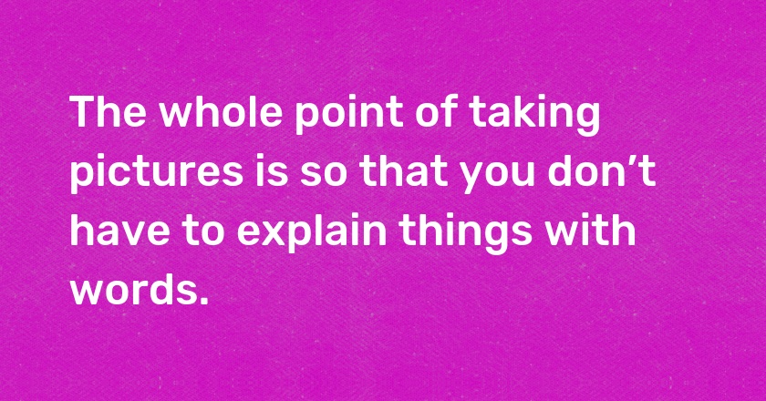 The whole point of taking pictures is so that you don’t have to explain things with words.