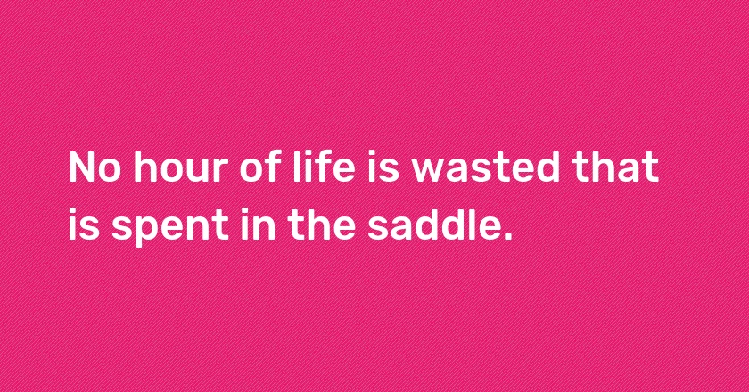 No hour of life is wasted that is spent in the saddle.