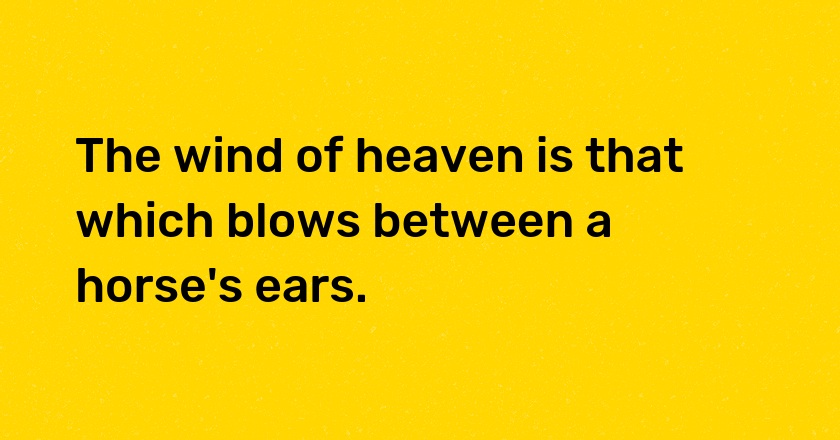 The wind of heaven is that which blows between a horse's ears.