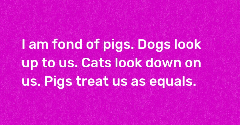 I am fond of pigs. Dogs look up to us. Cats look down on us. Pigs treat us as equals.