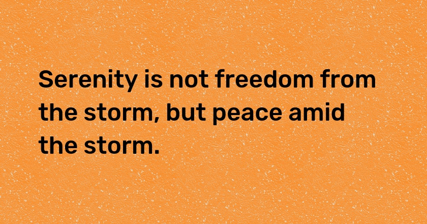 Serenity is not freedom from the storm, but peace amid the storm.