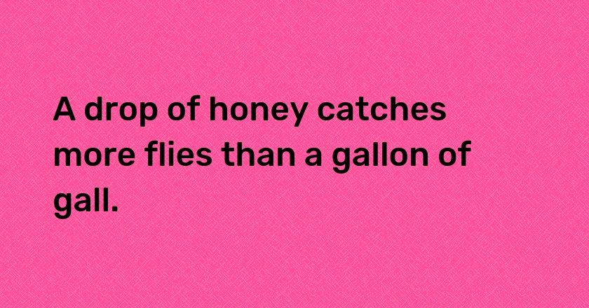 A drop of honey catches more flies than a gallon of gall.