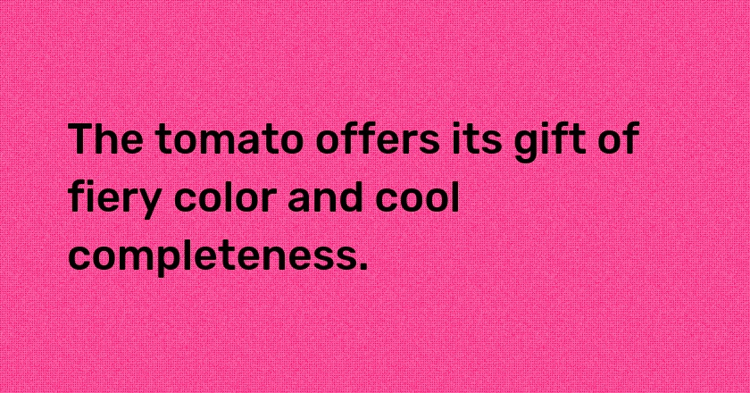 The tomato offers its gift of fiery color and cool completeness.