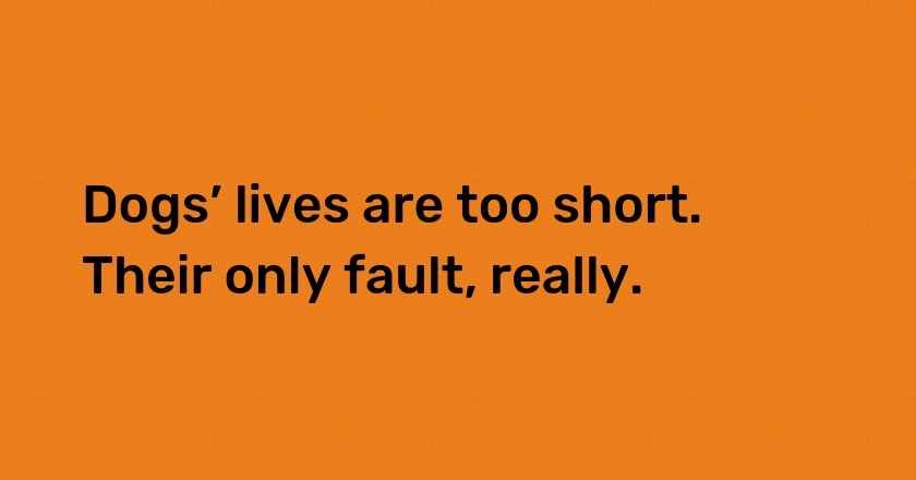 Dogs’ lives are too short. Their only fault, really.