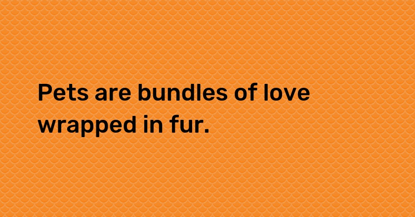 Pets are bundles of love wrapped in fur.