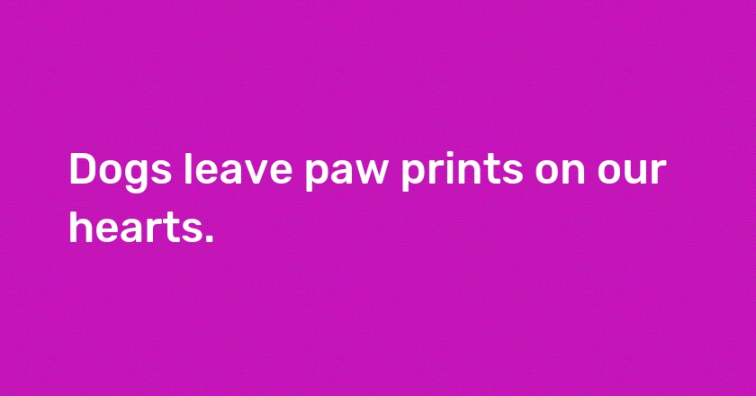 Dogs leave paw prints on our hearts.