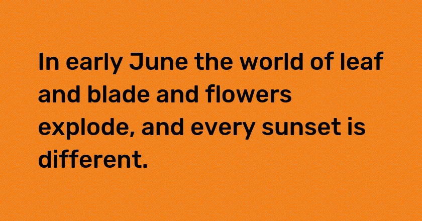 In early June the world of leaf and blade and flowers explode, and every sunset is different.