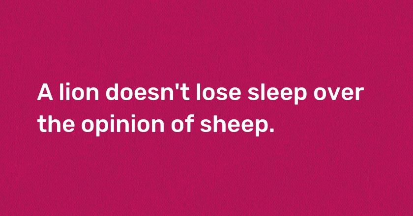 A lion doesn't lose sleep over the opinion of sheep.