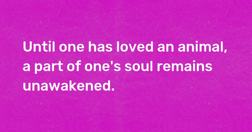 Until one has loved an animal, a part of one's soul remains unawakened.