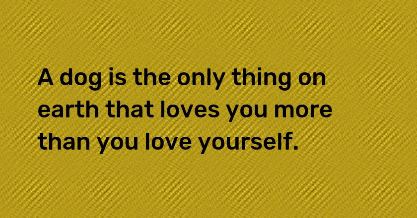 A dog is the only thing on earth that loves you more than you love yourself.