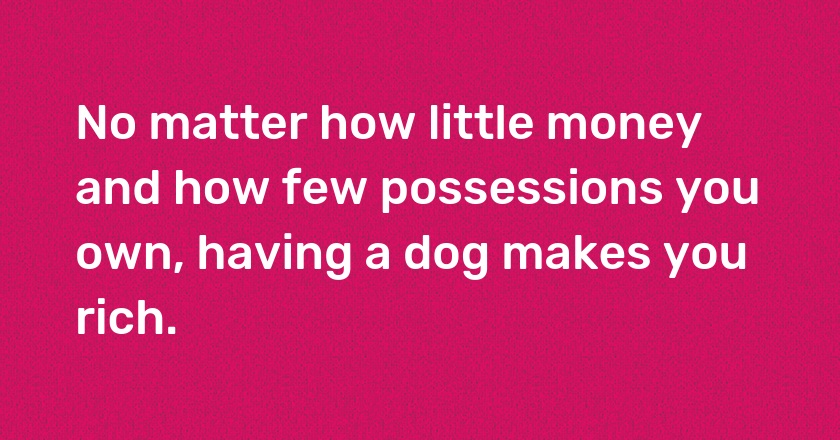 No matter how little money and how few possessions you own, having a dog makes you rich.