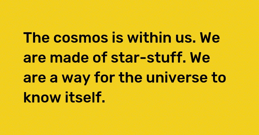 The cosmos is within us. We are made of star-stuff. We are a way for the universe to know itself.