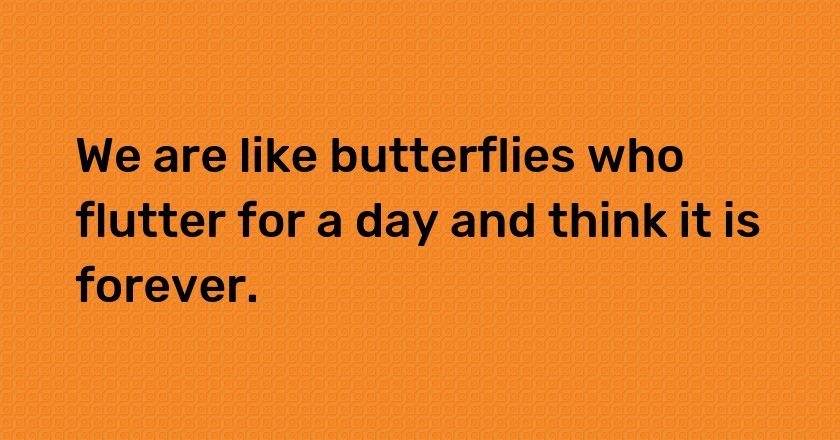 We are like butterflies who flutter for a day and think it is forever.