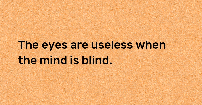 The eyes are useless when the mind is blind.