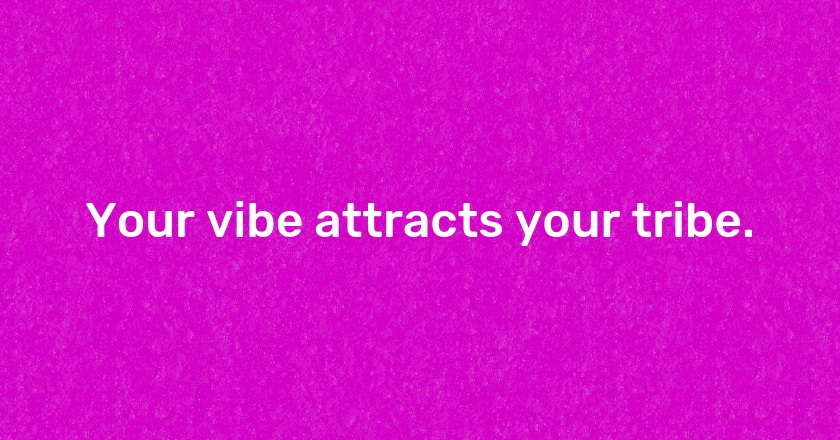 Your vibe attracts your tribe.